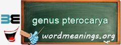 WordMeaning blackboard for genus pterocarya